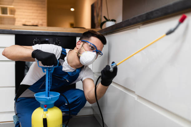 Best Pest Control Treatment  in Ixonia, WI