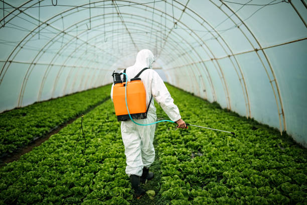 Best Pest Inspection Near Me  in Ixonia, WI