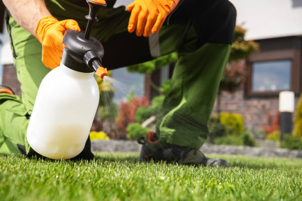 Best Local Pest Control Services  in Ixonia, WI