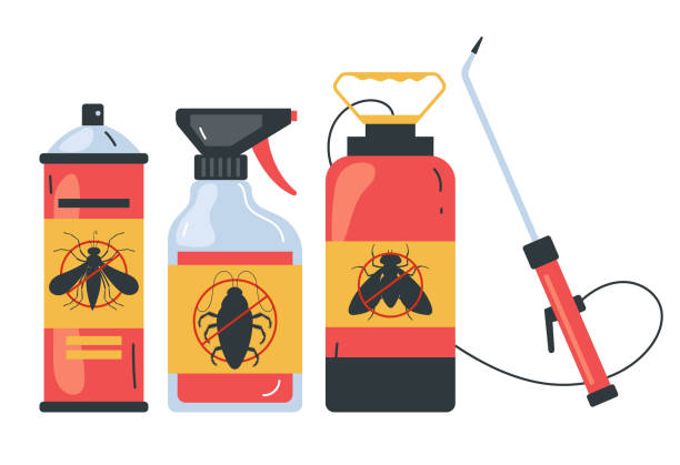 Best Termite Control Services  in Ixonia, WI