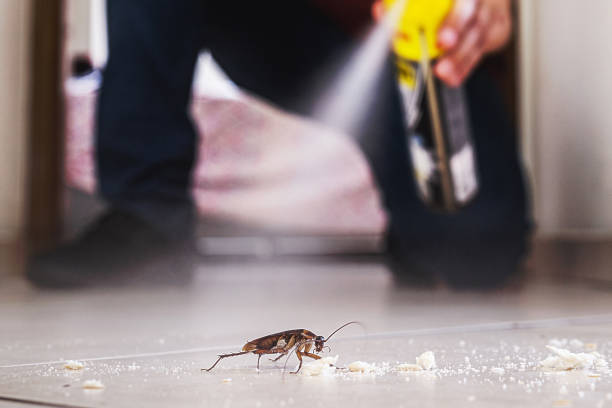 Best Affordable Pest Control Services  in Ixonia, WI