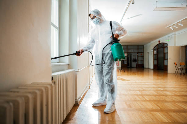 Best Pest Removal Services  in Ixonia, WI