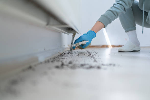 Reliable Ixonia, WI Pest Control Solutions